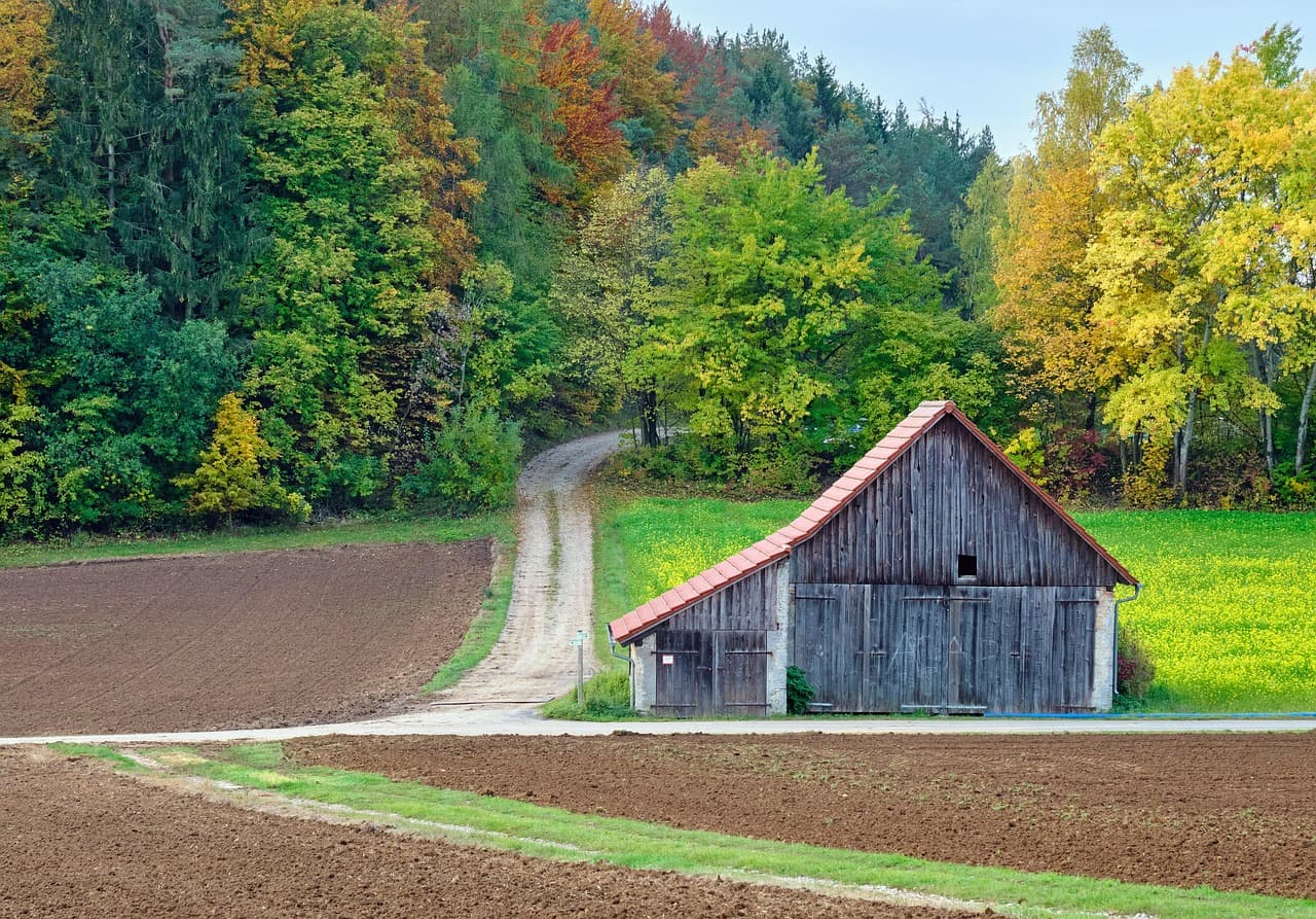 Wiosenne i jesienne porządki
